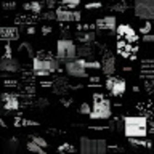 Meet your Posher, Kasandra